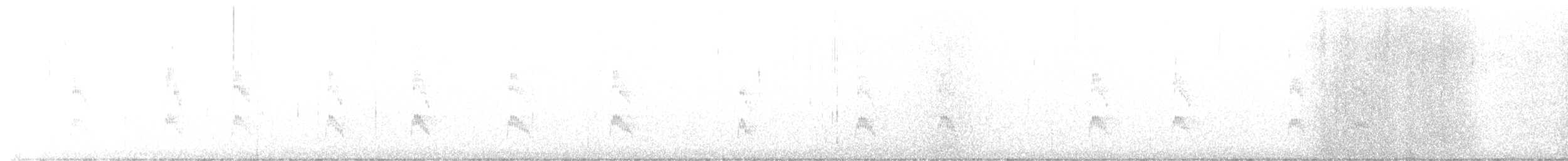 strakapoud kokardový - ML529220111
