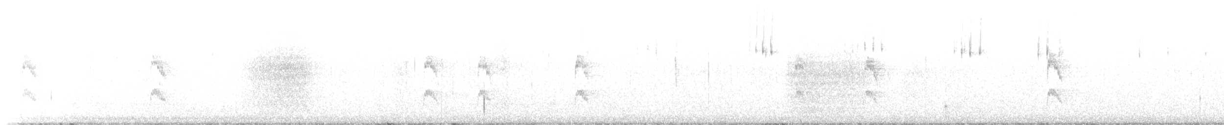 strakapoud kokardový - ML529220121