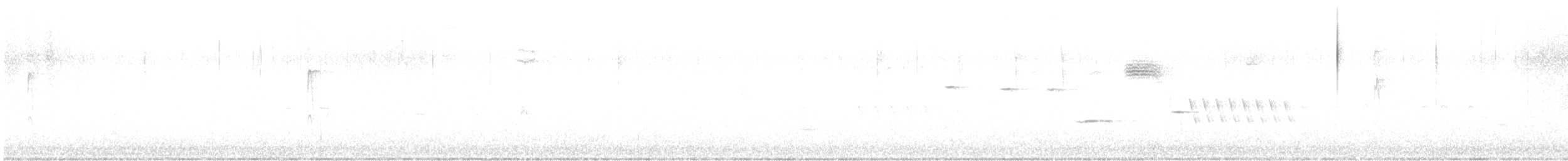 גיבתונית רוננת - ML529227431