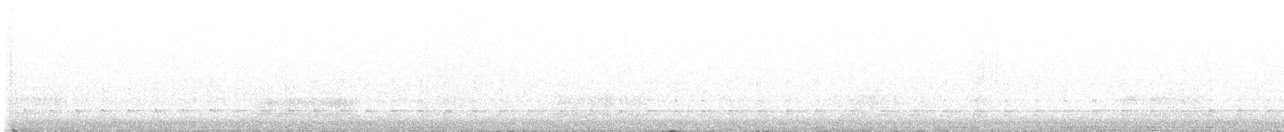 hvitbrynsvartspett - ML529254181