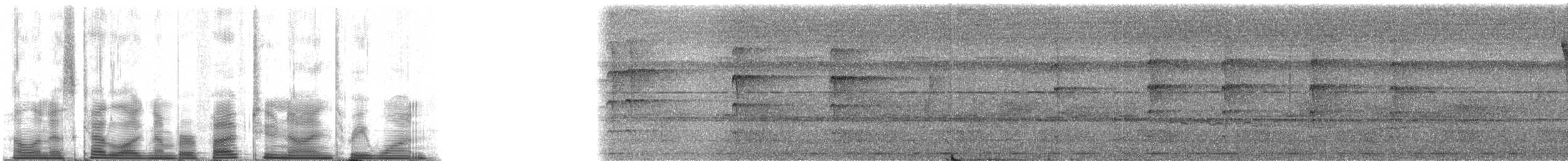 Maroon Woodpecker - ML52931