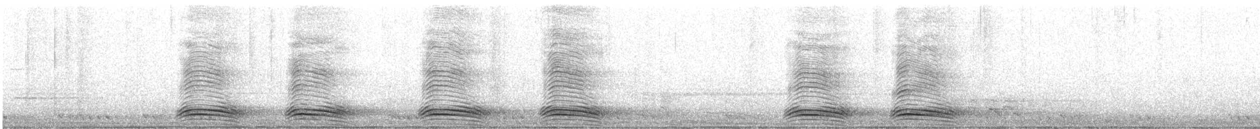 Ворона великодзьоба (підвид culminatus) - ML529444941