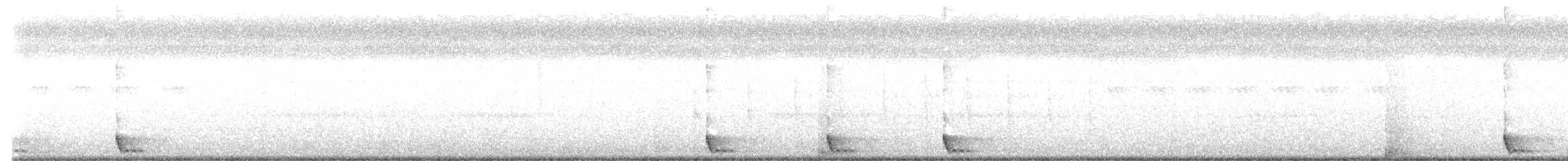 Large-tailed Nightjar - ML529459381