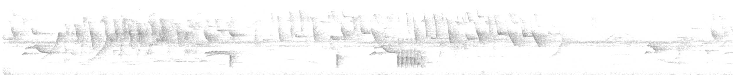 Gri Alınlı Todi Sinekkapanı - ML529480841