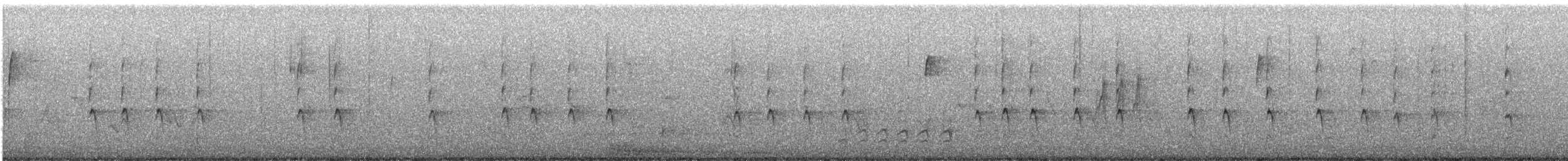 Winter Wren - ML529513021