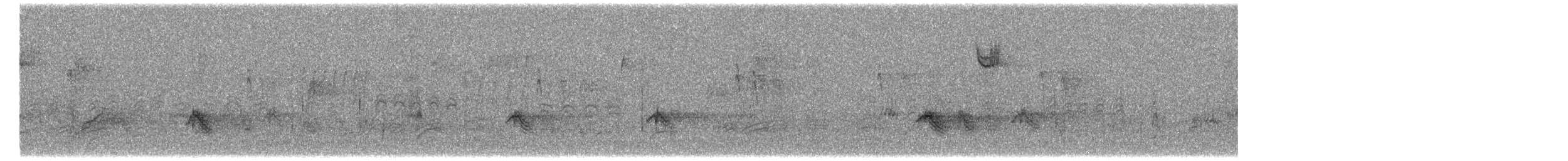 Evening Grosbeak (type 3) - ML529521691