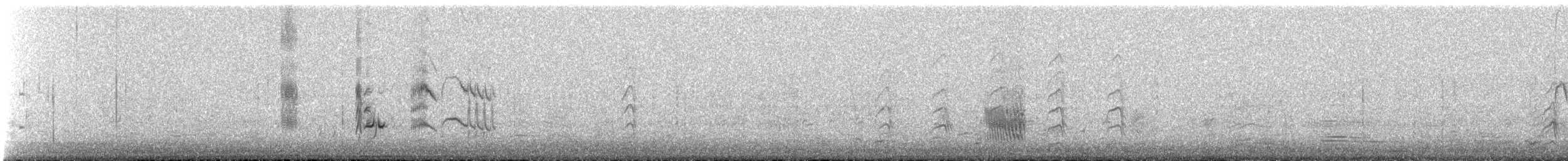 svartsilkefugl - ML529526241