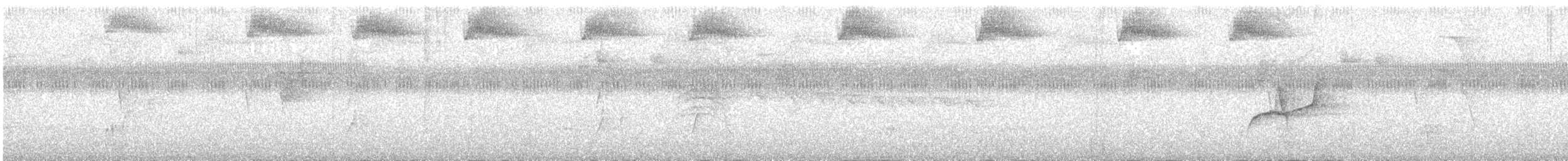 Короткохвостая аруна - ML529572111