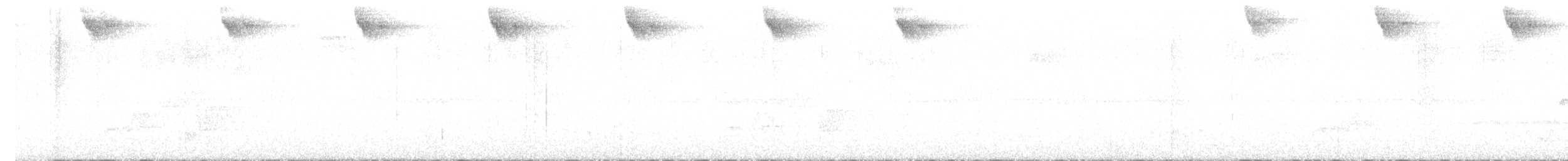 Колібрі плямистоволий - ML529601811