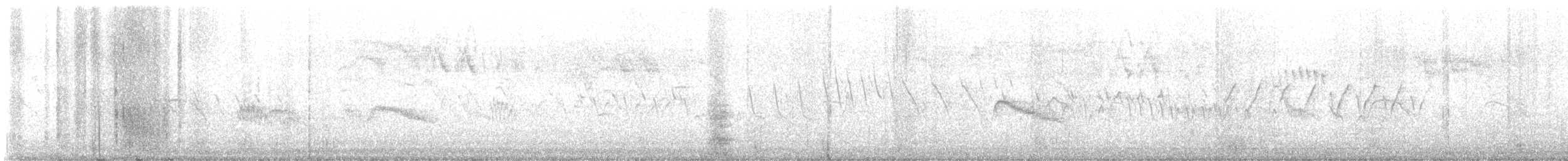 Barbuda Warbler - ML529612301