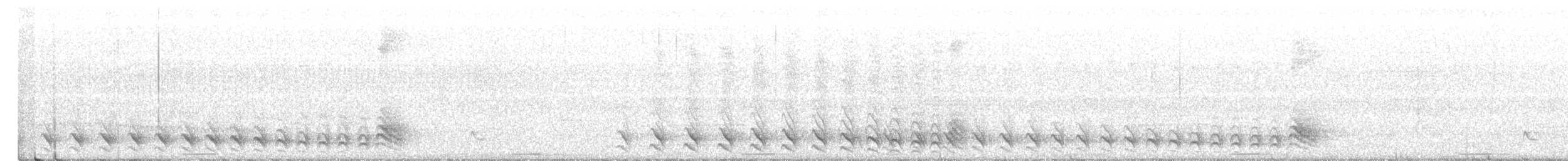 Şeritli Karıncaavcısı [doliatus grubu] - ML529621371