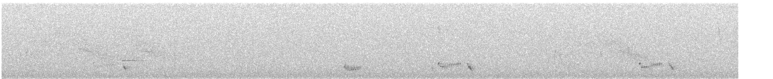 Чернокрылая земляная горлица - ML529623711