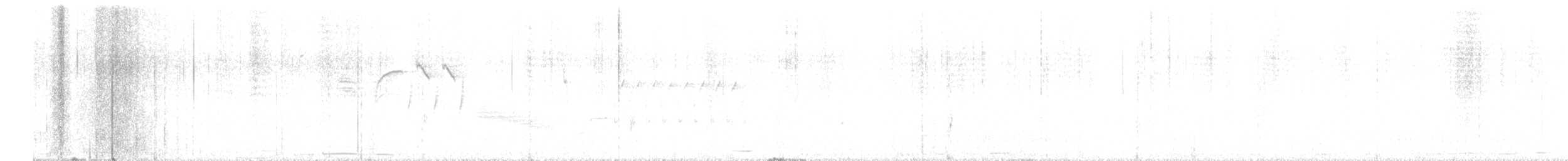 Bewick's Wren - ML529695861