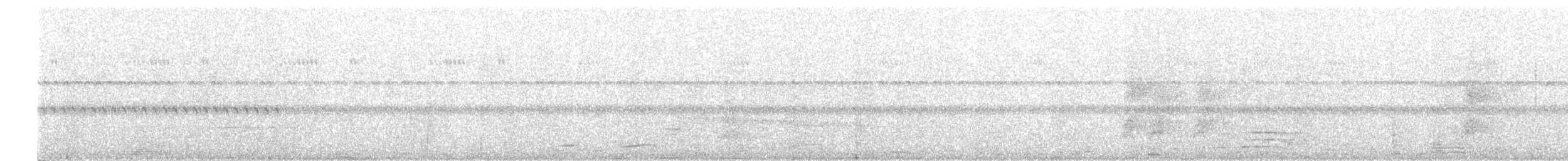 Little Tinamou - ML529701621