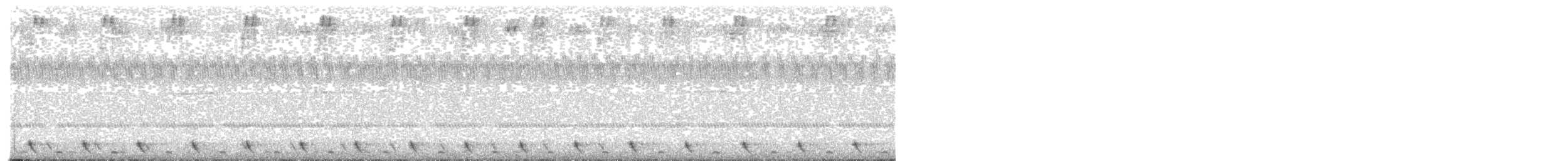 Jungle Nightjar - ML529756321