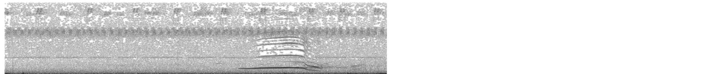 Spot-bellied Eagle-Owl - ML529756421