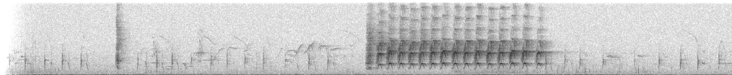 Méliphage grimé - ML529771