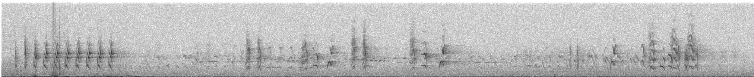 Méliphage grimé - ML529799