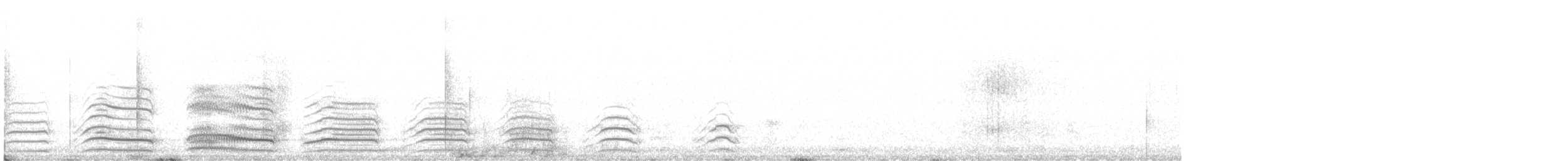 紅嘴鷗 - ML529799871