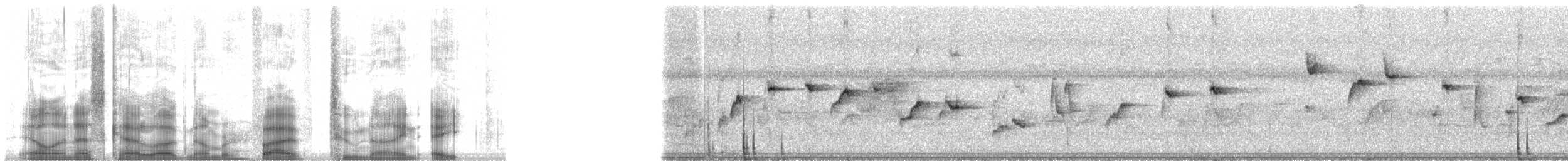 pohnpeiviftestjert - ML5298