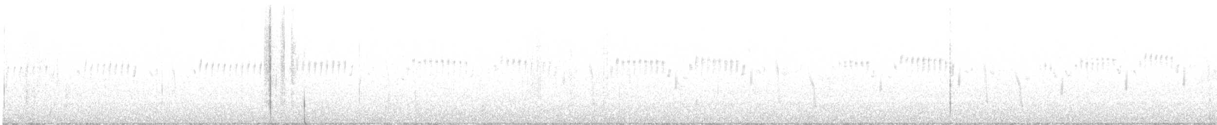 American Woodcock - ML529808211
