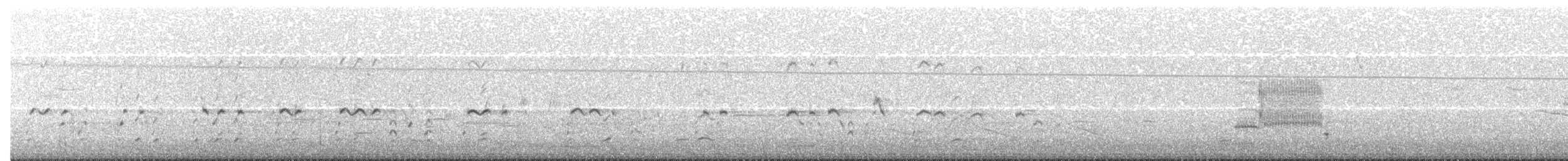 ハクトウワシ - ML529812771