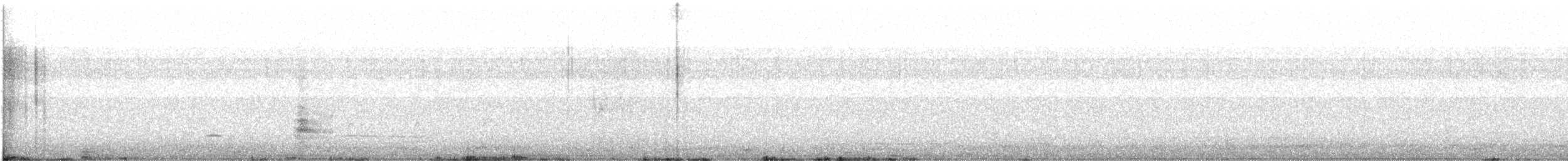White-tailed Kite - ML529821261