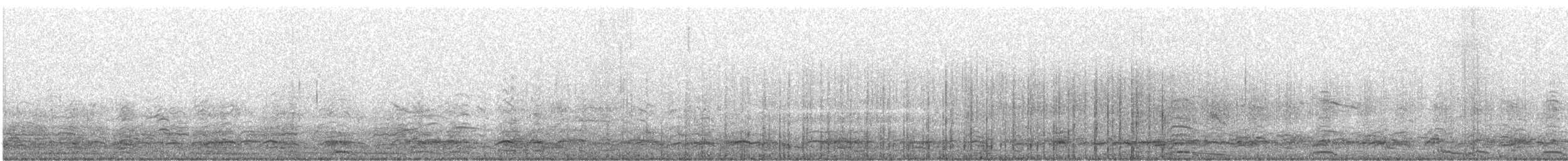 Tundra Swan (Whistling) - ML529875241