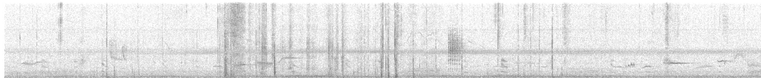 Phragmite aquatique - ML529909171