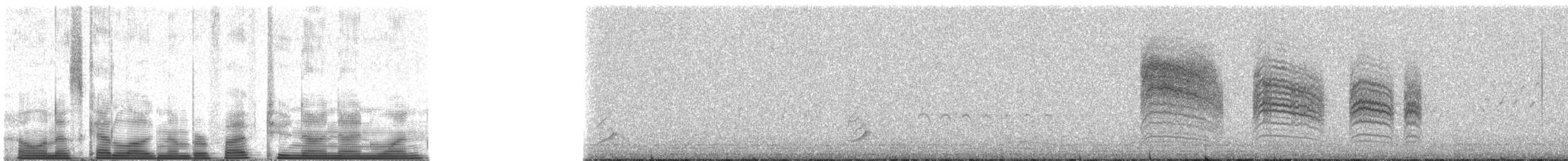 Kara Kuyruklu Bitkuşu - ML52991