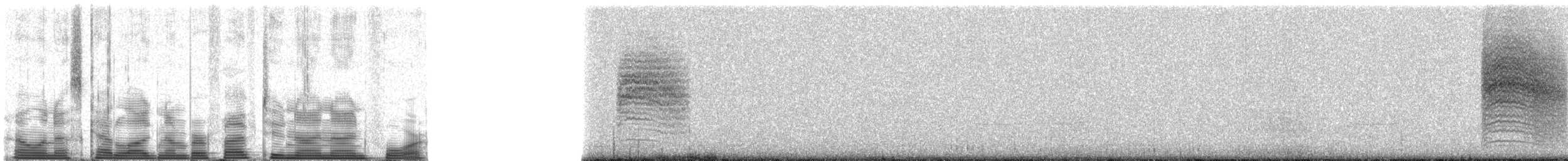 Kara Kuyruklu Bitkuşu - ML52994
