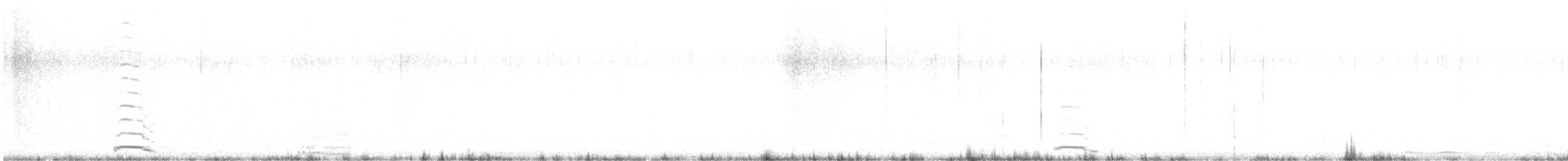 Cygne siffleur - ML529991911