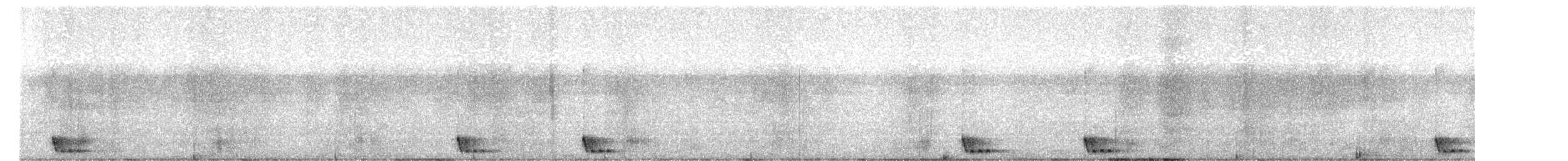 Large-tailed Nightjar - ML530052181
