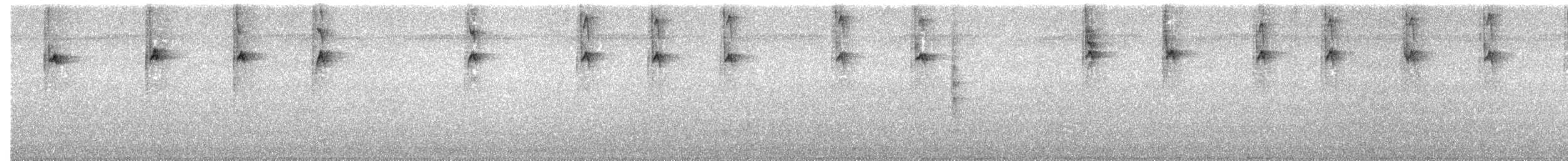 Пембская нектарница - ML530063791