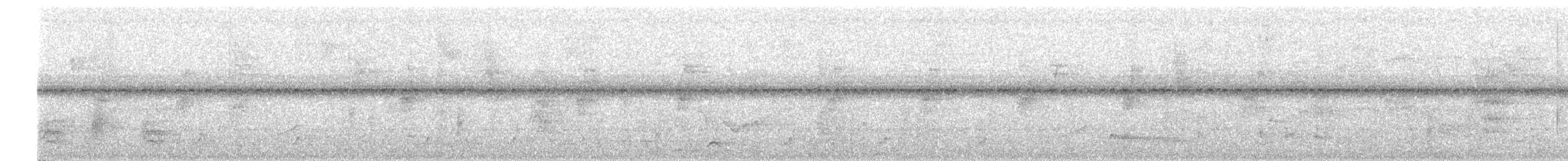 Kara Giysili Karıncakuşu - ML530097531
