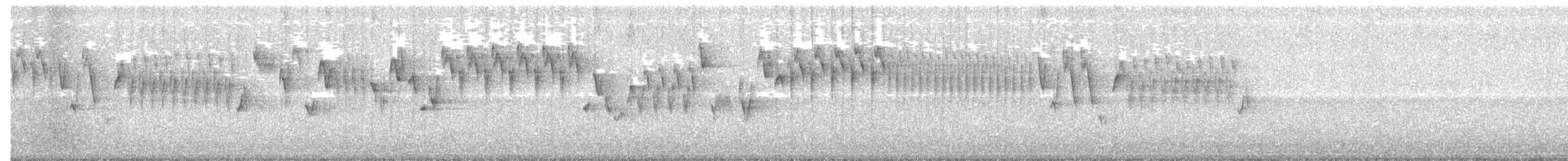 タイヘイミソサザイ（pacificus グループ） - ML53010161