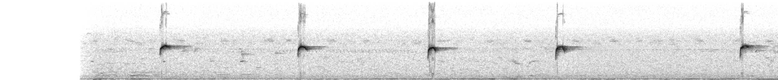 Tropenwürger - ML530102241