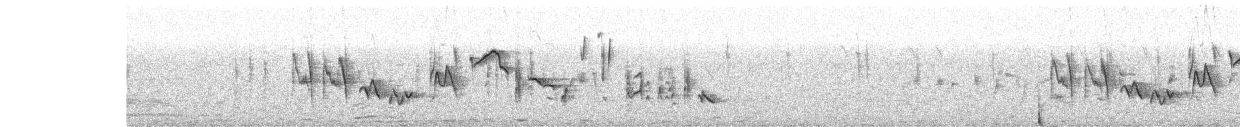 Strichelgirlitz - ML530102421