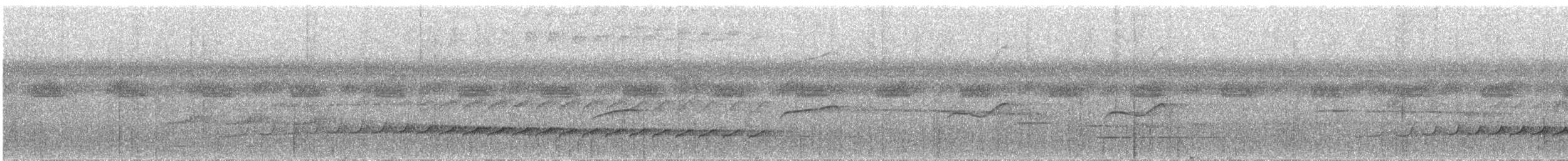 Variegated Tinamou - ML530103171