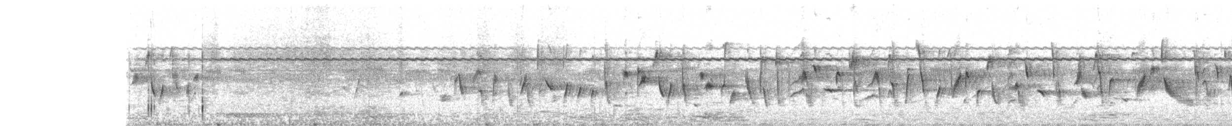 Brimstone Canary - ML530103201