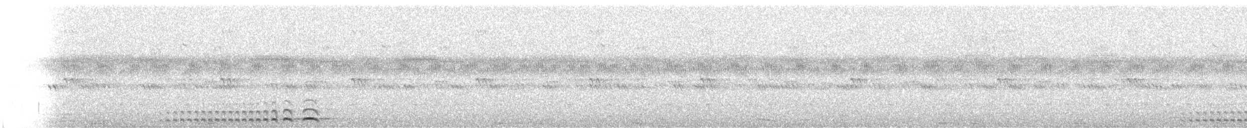 Сплюшка неотропічна - ML530140491