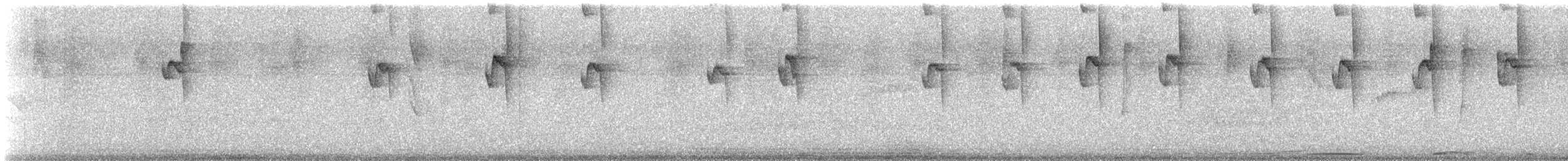 Солнечный колибри-отшельник - ML530149251