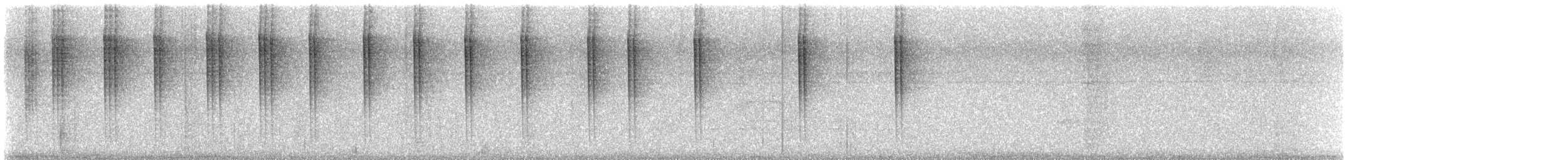 kolibřík safírový - ML530150941
