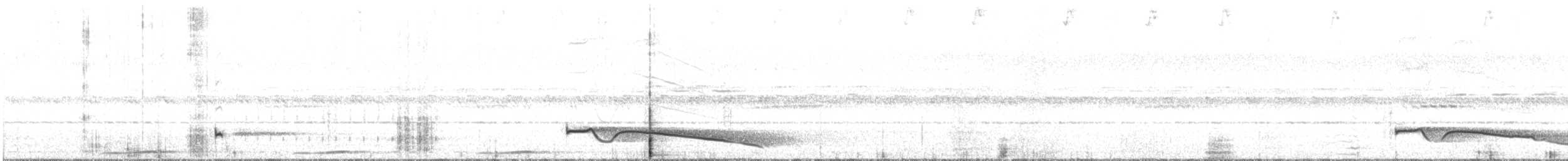 Riesennachtschwalbe - ML530152331