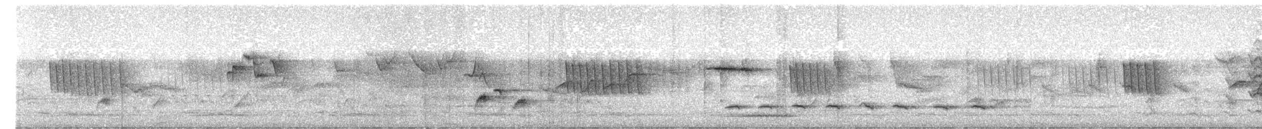 Weißbrauenschnäpper - ML530154771