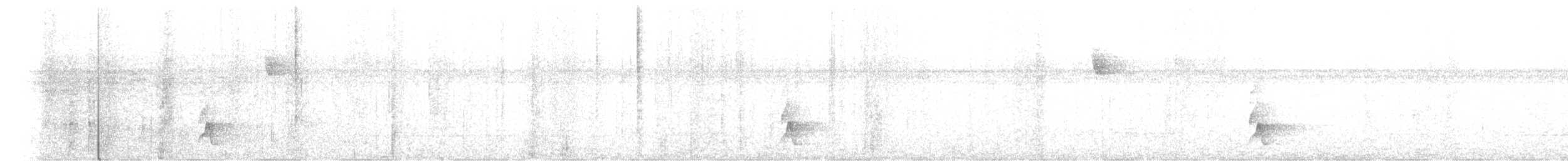 Kırlangıç Kuyruklu Manakin - ML530161511