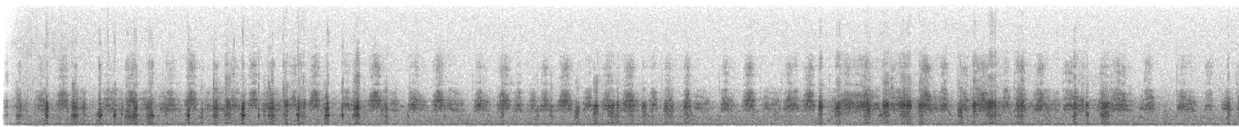 Stockente - ML530172271