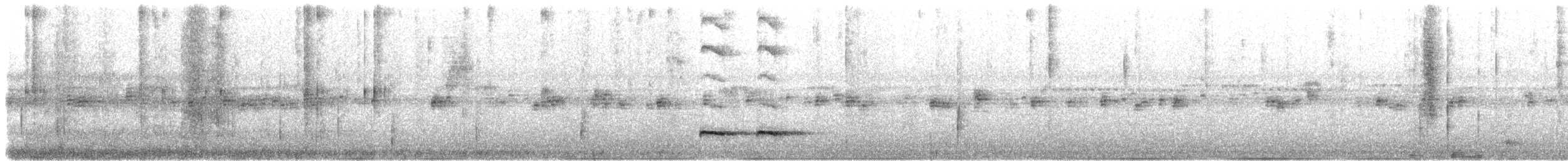Rostbrust-Ameisendrossel - ML530199811