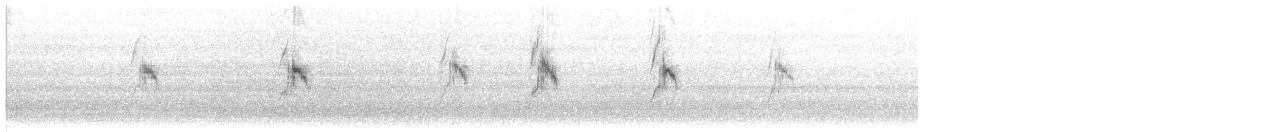 konipas luční (ssp. feldegg) - ML530199901