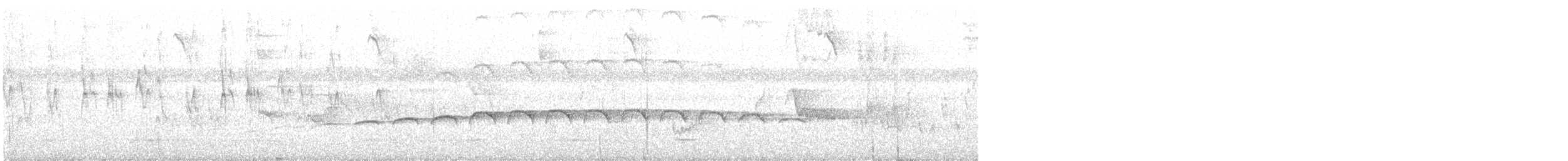 Large-tailed Antshrike - ML530203581